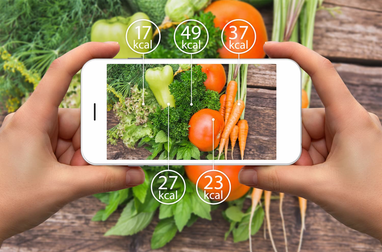 Illustration for: Two Teenagers Built an AI Calorie App With 15M Users: Now a Giant Just Bought It