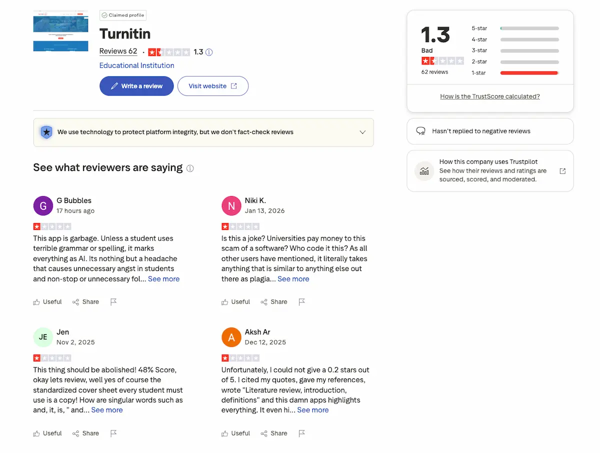 turnitin review