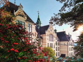 swiss school