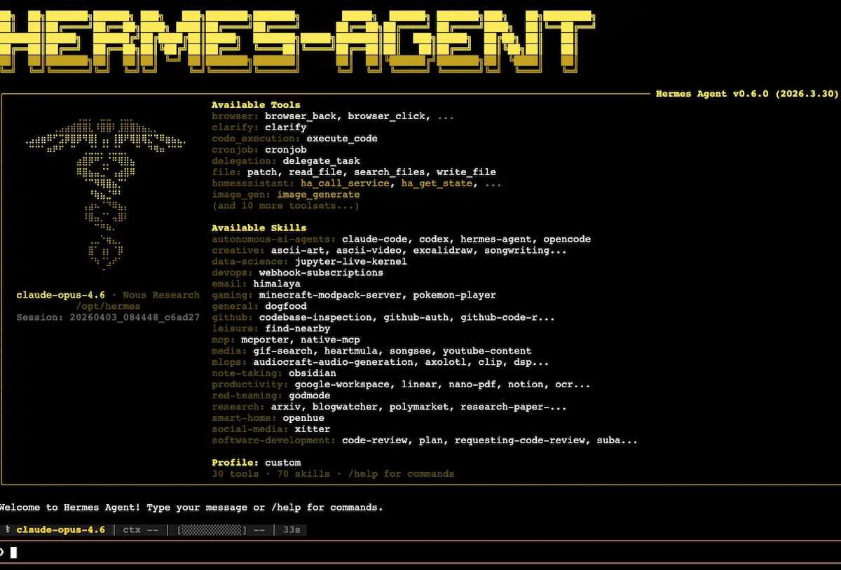hermes agent