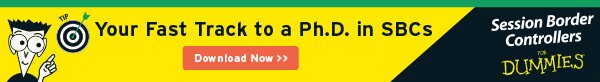 Exclusive ebook - SBC for Dummies